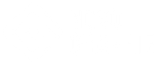 Novographie
